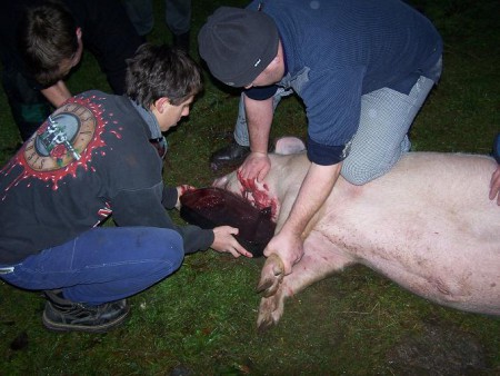 Vašíkova zabíjačka (24. 11. 2007)